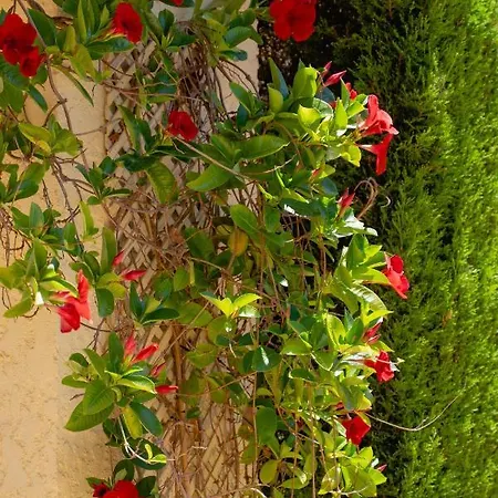 Villa Esturion El Albir